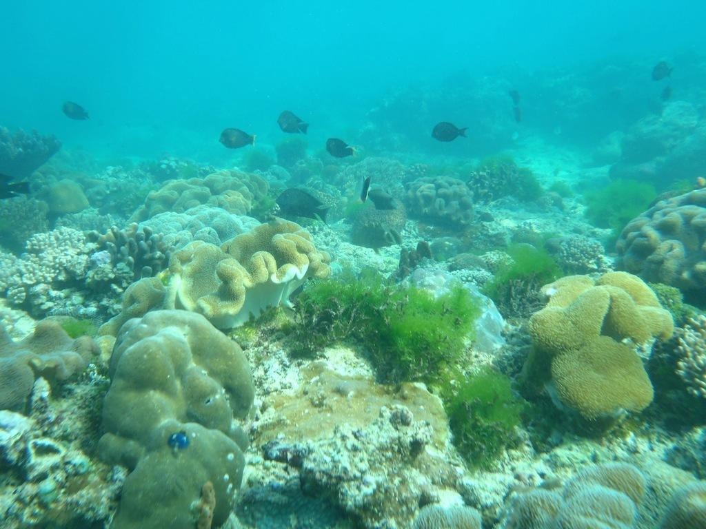 Oro Beach Houses Weetebula Εξωτερικό φωτογραφία